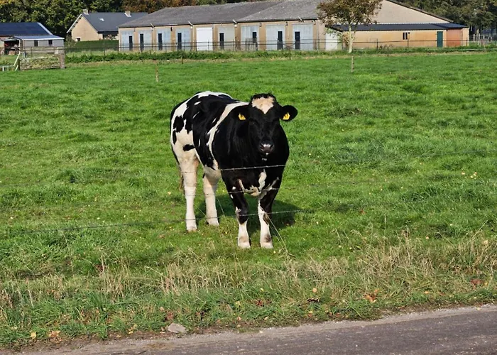 Bed&Breakfast Boekel