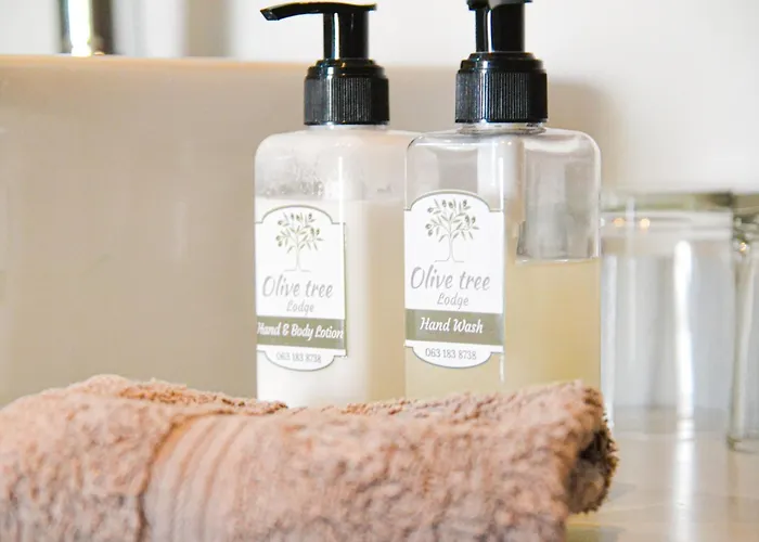 Olive Tree Boutique Hotel