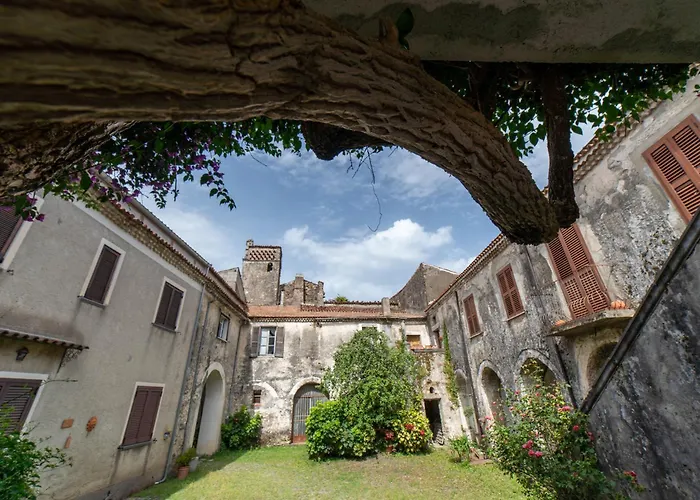 Maison De Curtis