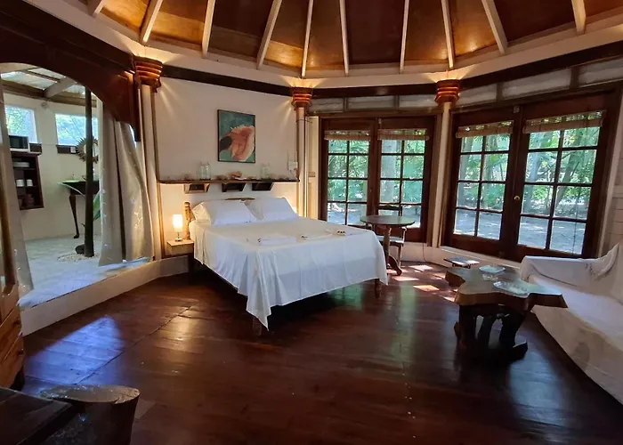 Jungle Cocoon Boutique Hotel