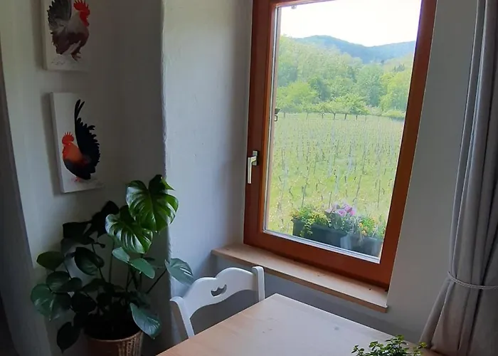 Dandelion Bed & Breakfast