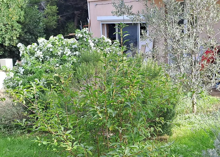 Ecolieu La pépinière