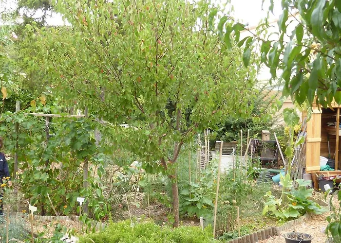 Ecolieu La pépinière