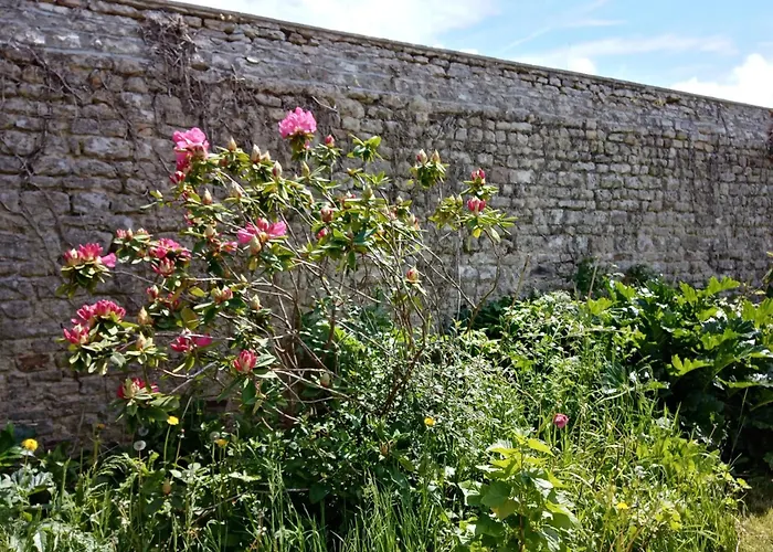 Rose Garden Bayeux