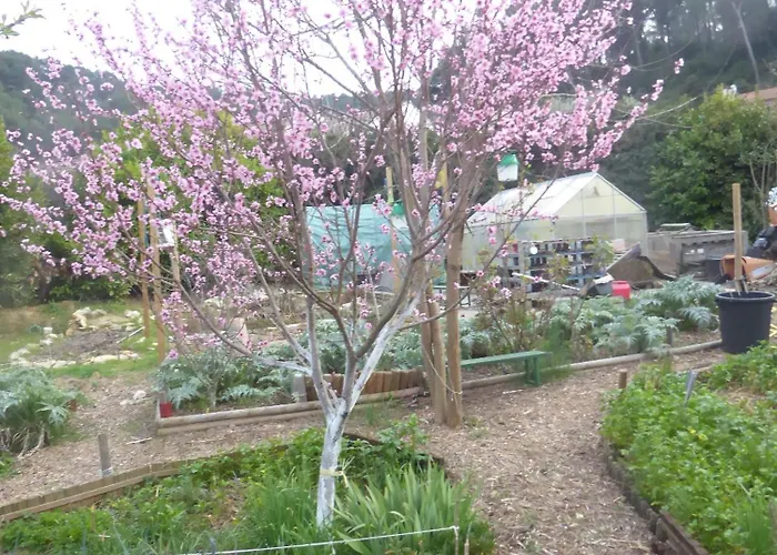 Ecolieu La pépinière