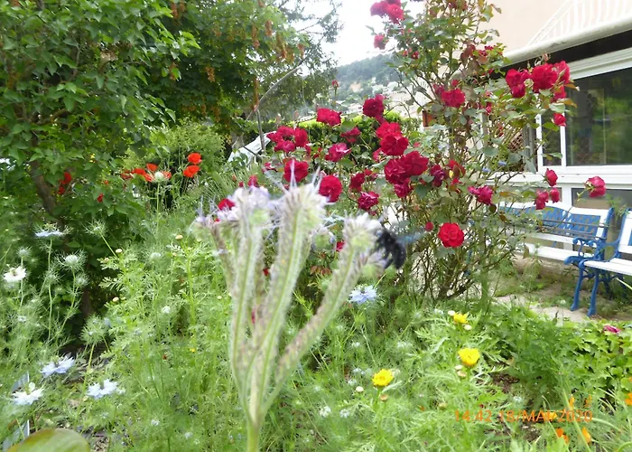 Ecolieu La pépinière