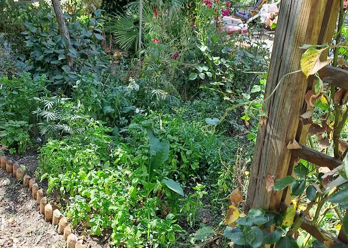 Ecolieu La pépinière