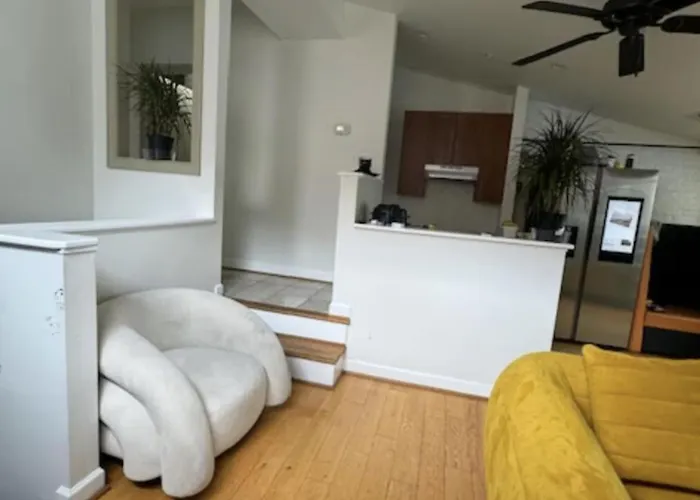 Dc Play House Bed And Breakfast