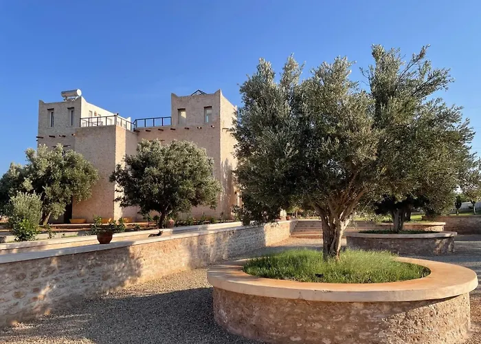Riad Sabidi