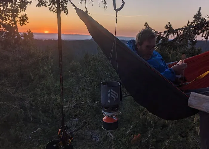 Tree Climbing At Silver Falls
