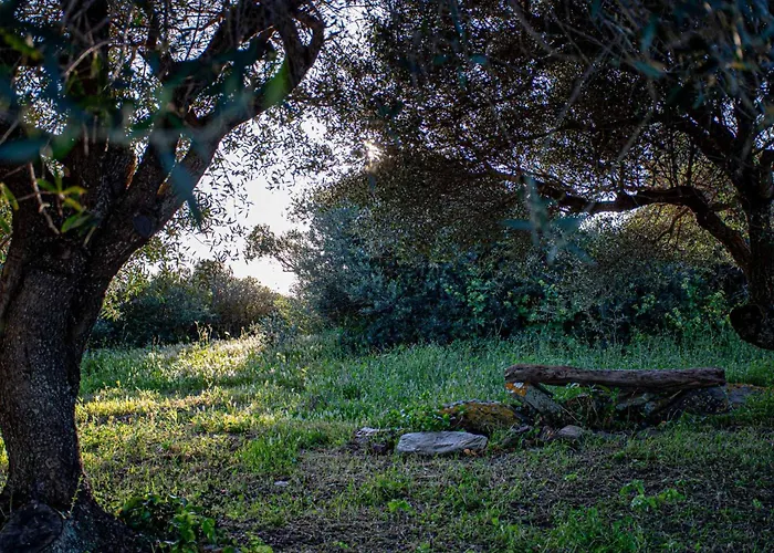 Rena Majore Country Resort