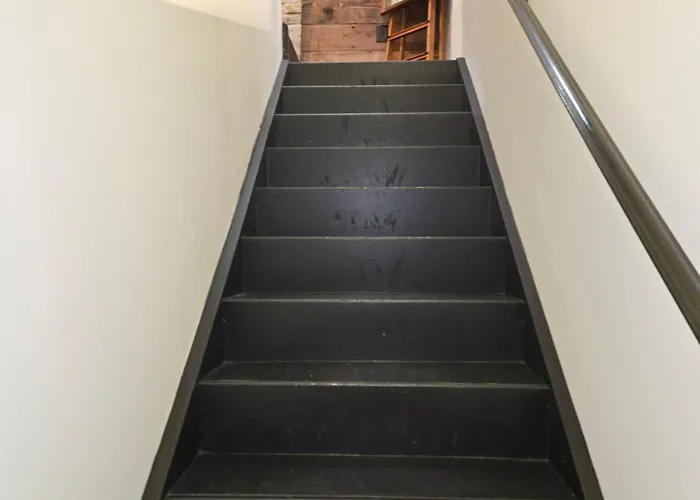 Dc Play House Bed And Breakfast