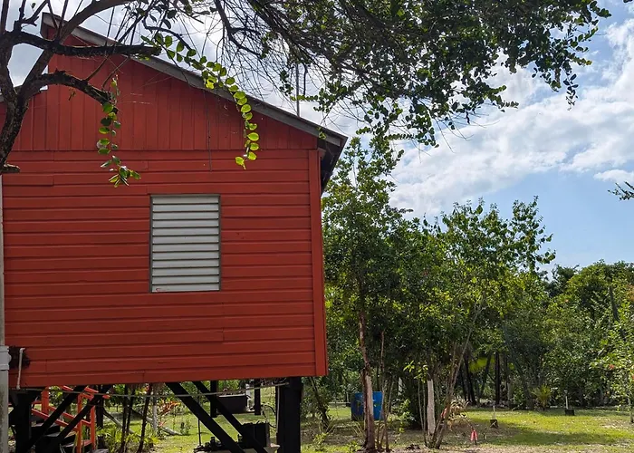 Palmento Grove Garifuna Eco-Cultural & Healing Institute