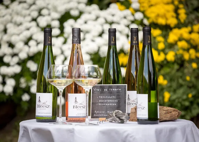 Domaine Bleesz