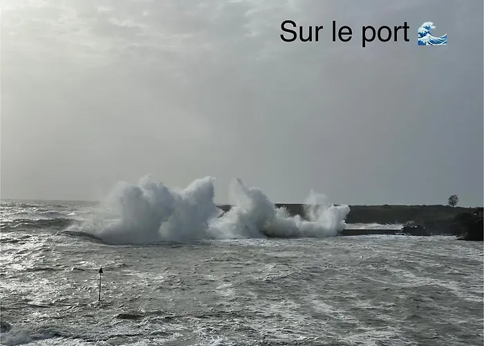 Ty Glazu Doelan espace 60m2, Port& criques à pied, 2 chambres privées au 1er étage, SDB, WC séparé