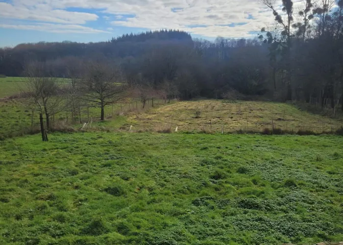 Gîte La nouette