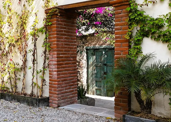 Orchid House Coyoacán