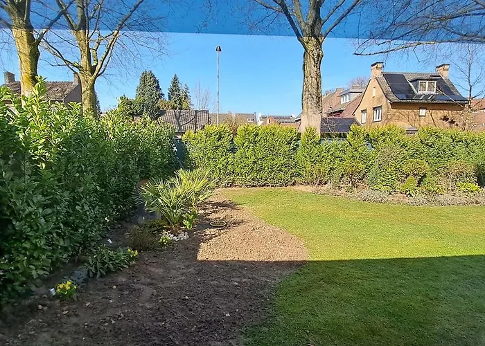 De beukenboom Bed&Breakfast