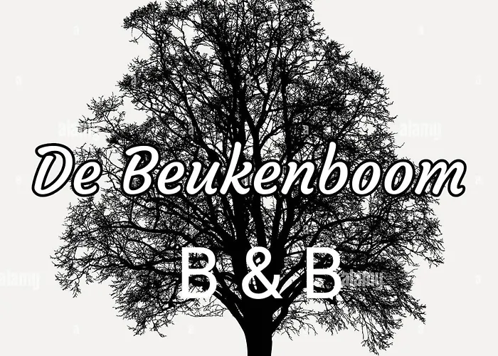 De beukenboom Bed&Breakfast