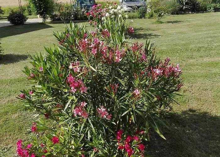 La Doucinière