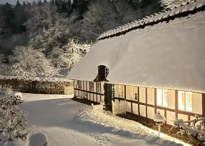 Lillemollens Bed & Breakfast