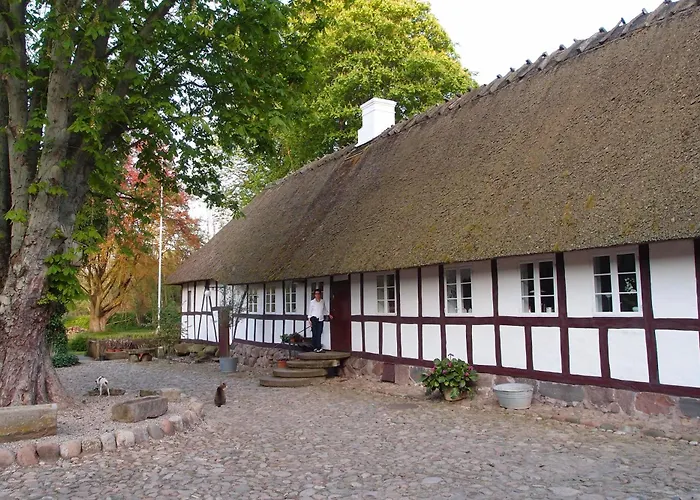 Lillemollens Bed & Breakfast