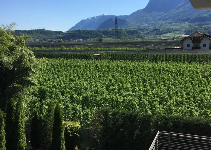 B&B Mele D'Oro