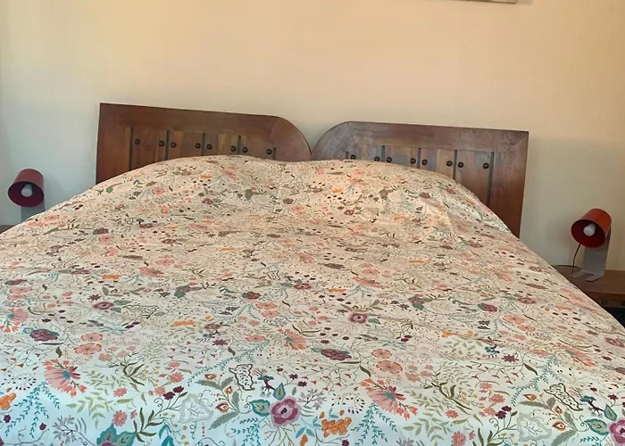 B&B bio new