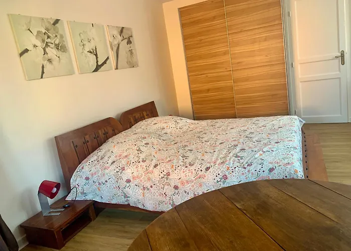 B&B Bio New