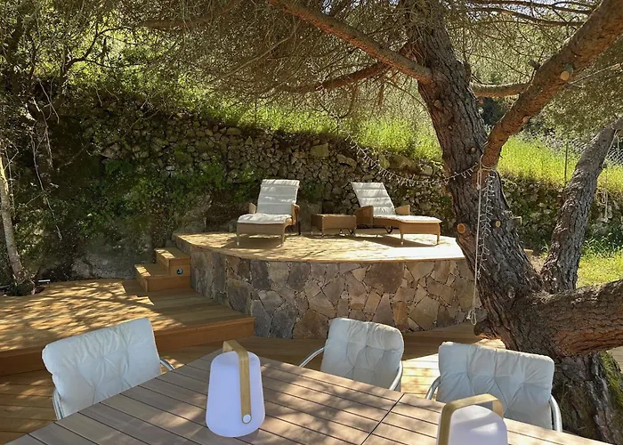 Casa Mimosa