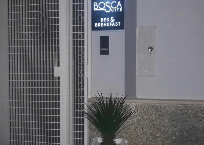 Bosca Suite