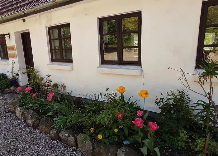 Emily'S Garden