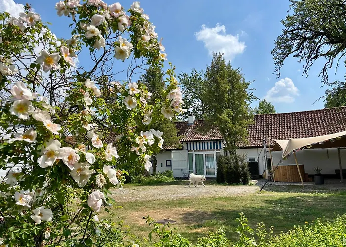 Hamiora Wellness B&B