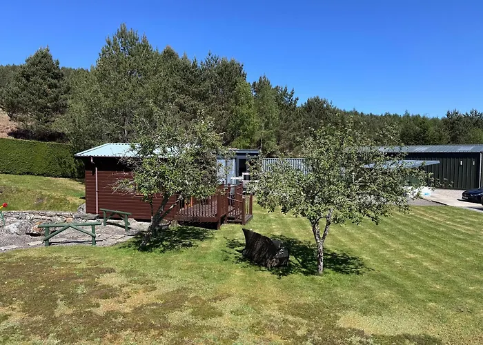 The Garden Room Tiny House Bed And Breakfast Stay
