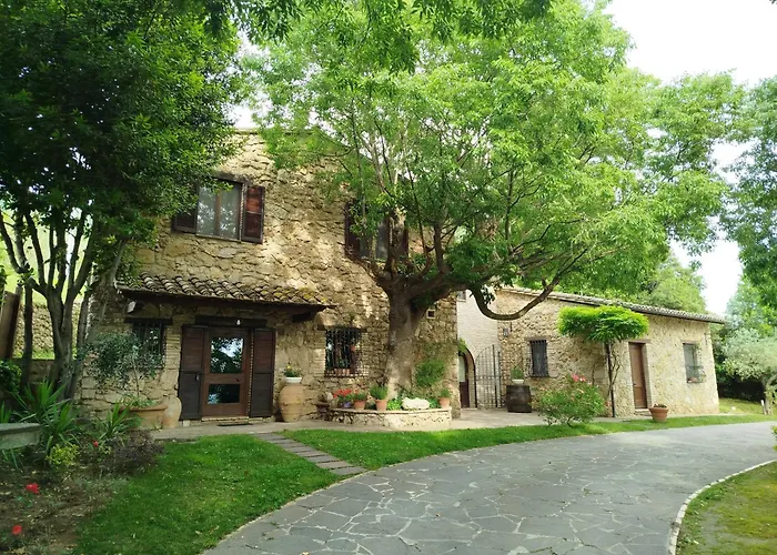 All'Ombra Di San Damiano