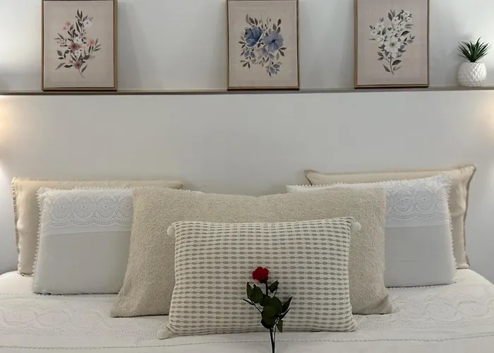 Location De Chambre Villa Les Allamandas