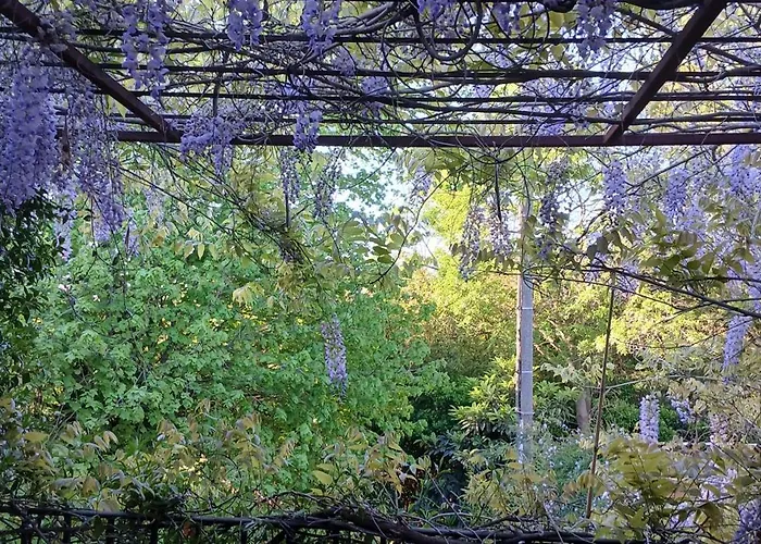 Mas Du Moulin, Le Moulin Vert Chambre D'Hote Vaccares