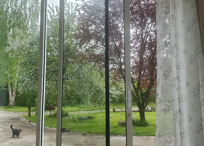 Le Jardin des Papillons, gîte et chambre d'hôtes à Saint Fraimbault