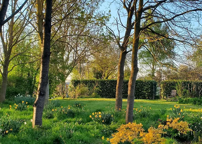 Le Jardin des Papillons, gîte et chambre d'hôtes à Saint Fraimbault