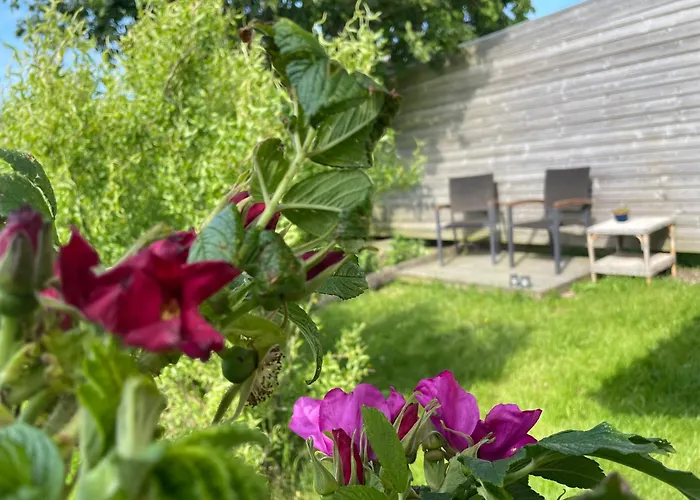 Nygaard B&B