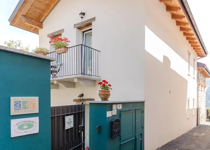 Il Riccio Di Ricciano