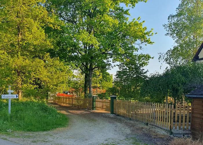 Magnolia54