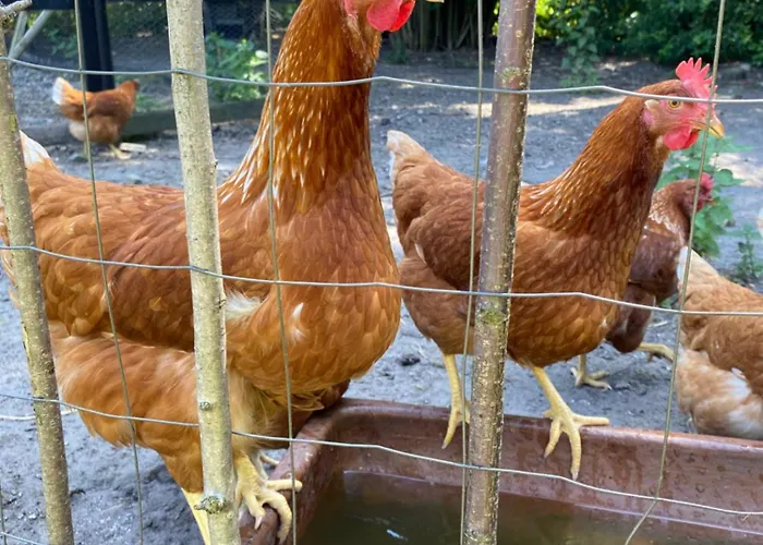 Frederiksensminde Bed & Breakfast