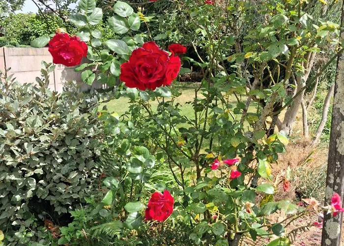 Villa Rosso