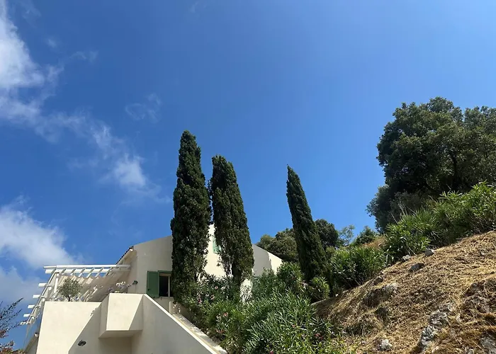Casa Mimosa