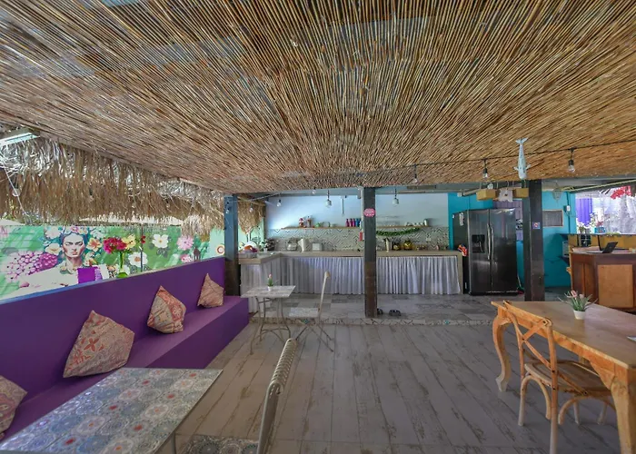 Mammaloe'S Aruba Boho Boutique Hotel