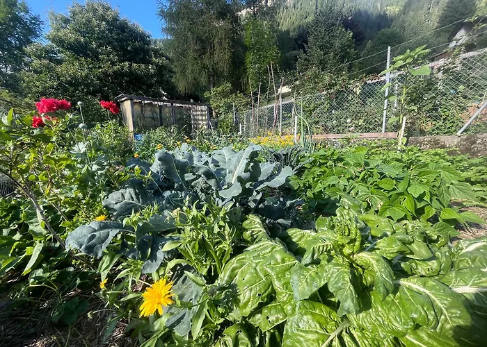 Bed&Breakfast Il Cardellino