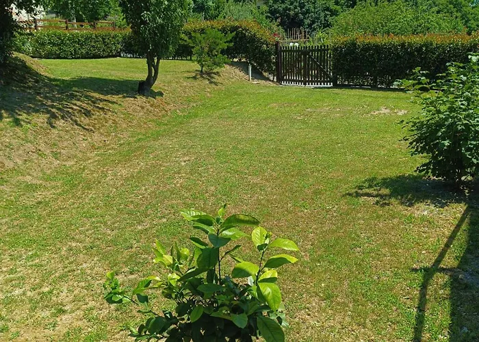 La Tana Della Volpetta - Bed & Breakfast