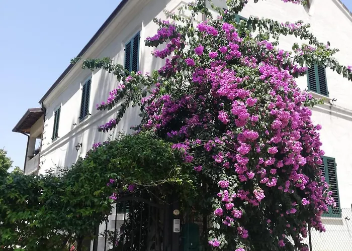 La Bouganville