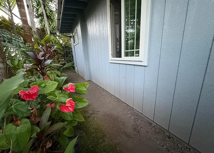 Hawaiian Ohana Home